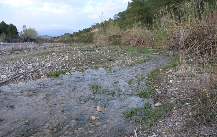 Fotos de la ruta